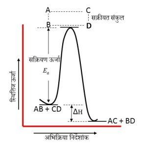 अभिक्रियावेग पर तापका प्रभाव