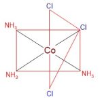 mer isomer