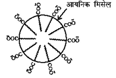 कोलाइडो का वर्गीकरण